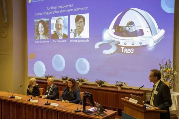 今年诺贝尔奖“穿墙术”到底咋回事？一张漫